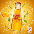Crodino, 48 Flaschen à 100 ml